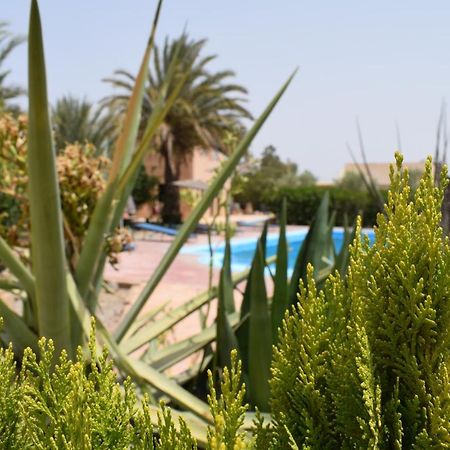 Maison D'Hotes La Tour De Toile Taroudant Dış mekan fotoğraf